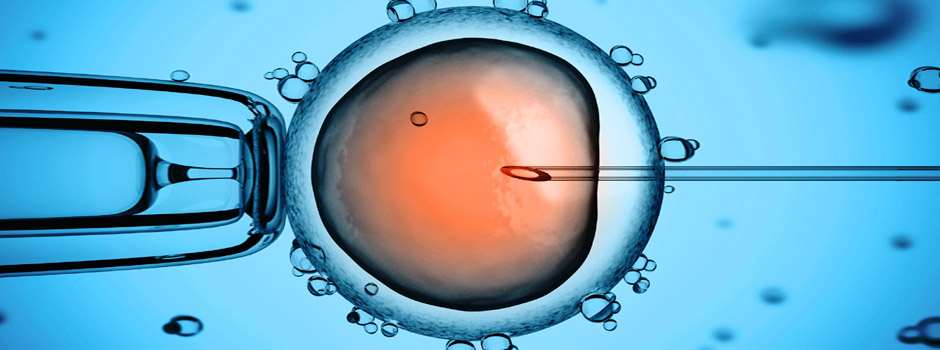 IVF Treatment